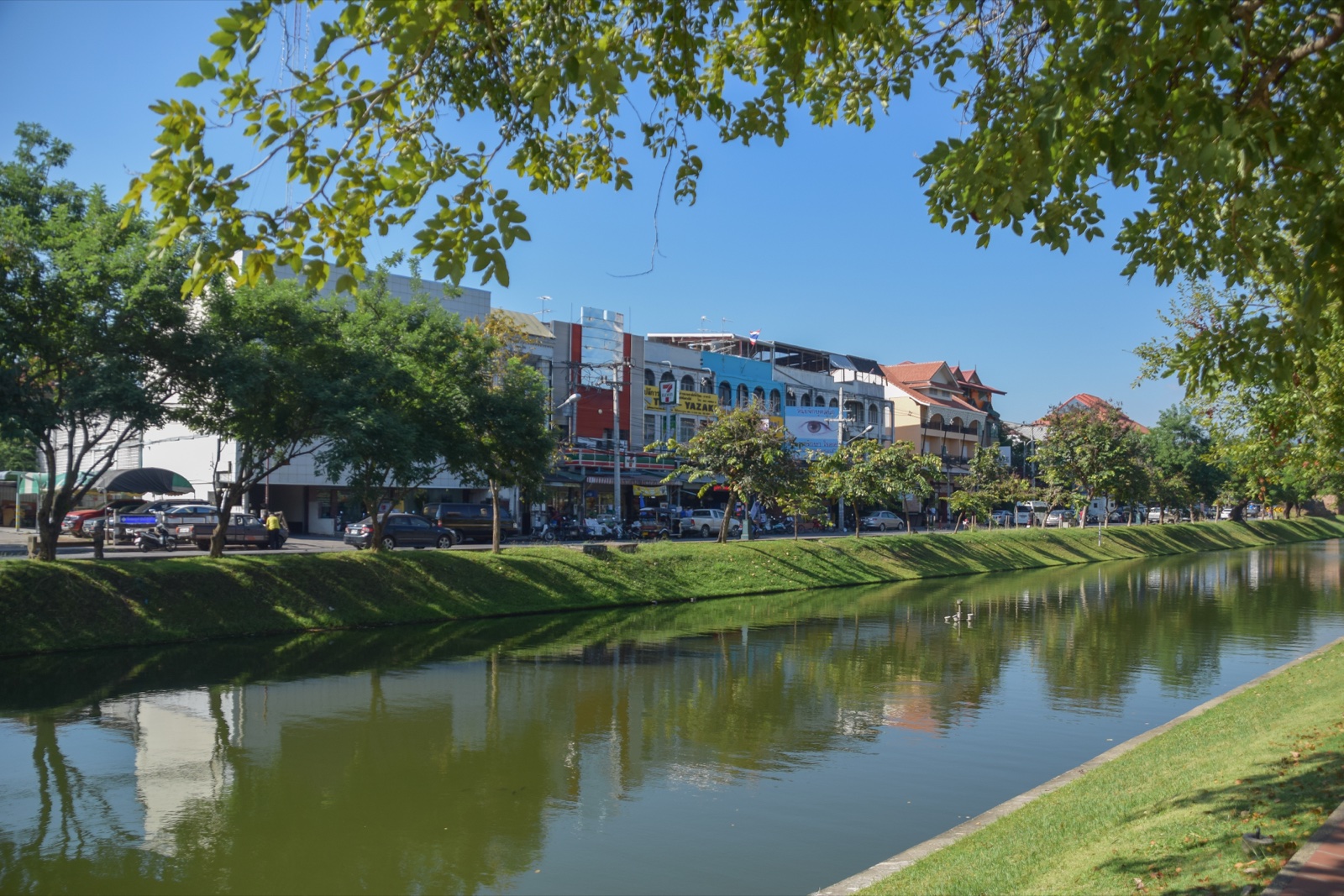 Sunlit trees and reflections along the northern stretch of Chiang Mai's Old City moat